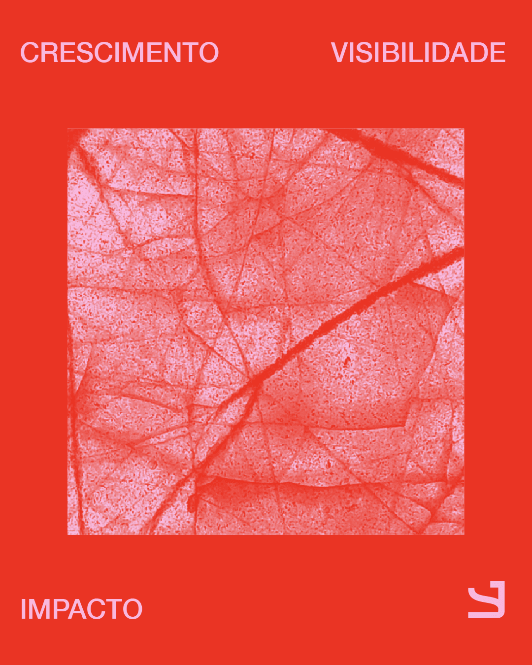 Resultado de campanha — post 7